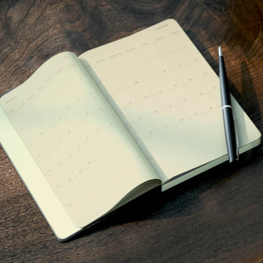Moleskine Year Planner - Daily Feature